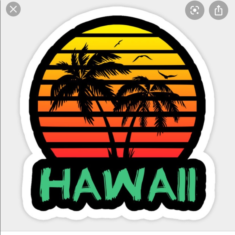 🚫🚫Hawai’i sticker ♥️ 🚫🚫 Hold for MD